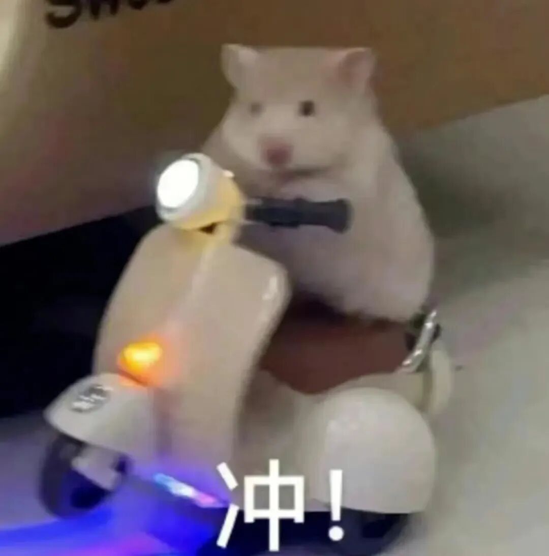 5b6aab26afa4c554592e76112beba659.jpg 5b6aab26afa4c554592e76112beba659.jpg